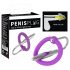 Plug per pene con anello glandulare in silicone e dilatatore uretrale (viola-argento) 