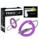 Plug per pene con anello glandulare in silicone e dilatatore uretrale (viola-argento) 