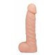 Dildo Realistico Realistixxx Stand-Up II 