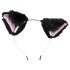 Bad Kitty - Set anale con coda da gatto nero