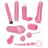 Set Erotico You2Toys - Sfumature di Rosa - 9 Pezzi 