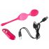 Palline dell'amore SMILE - Uovo vibrante ricaricabile da 82g con telecomando (rosa) 