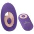 SMILE Panty - vibratore clitorideo ricaricabile con telecomando (viola)