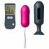 Vibro Uovo Radiocomandato Dorcel Secret - Kit Anal Plug e Uovo Vibrante (2 Pezzi) 