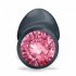 Plug Anale Geisha Dorcel Ruby L con Gioiello Rosa (Nero) 