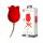 ROSE LOVER - Vibromassaggiatore Linguale Ricaricabile per Clitoride 2in1 (Rosso) 