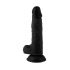 Signor Delicato - Dildo Realistico con Ventosa e Testicoli - 19cm (Nero) 