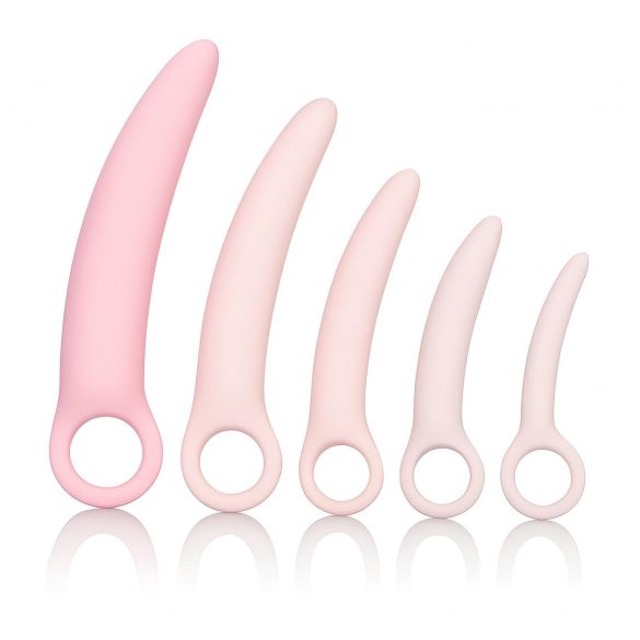 Set di dilatatori vaginali in silicone per la salute - Inspire di CalExotics (rosa) 