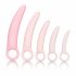 Set di dilatatori vaginali in silicone per la salute - Inspire di CalExotics (rosa) 