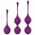 Set Completo di Sfere di Kegel Engily Ross Taylor 2.0 - Trio Viola 