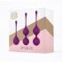 Set Completo di Sfere di Kegel Engily Ross Taylor 2.0 - Trio Viola 