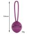 Pallina di Kegel in silicone Engily Ross Leigh (viola) 