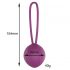 Pallina di Kegel in silicone Engily Ross Leigh (viola) 