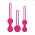 Kit di Sfere del Piacere Easytoys - Set per esercizi del pavimento pelvico - 3 pezzi (rosa) 