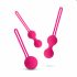 Kit di Sfere del Piacere Easytoys - Set per esercizi del pavimento pelvico - 3 pezzi (rosa) 