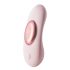 Gigi Vibratore per Slip Ricaricabile e Wireless (Rosa) 