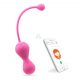 Maestro Kegel Magic Motion - Duo di palline vaginali intelligenti (viola) 