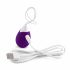 FEELZTOYS Anna - uovo vibrante ricaricabile con telecomando (viola)